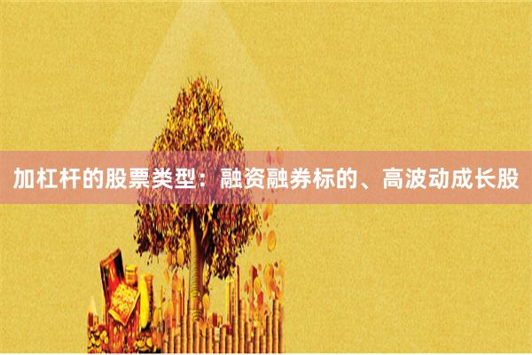 加杠杆的股票类型：融资融券标的、高波动成长股